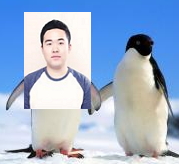 ��ǰ�̹���