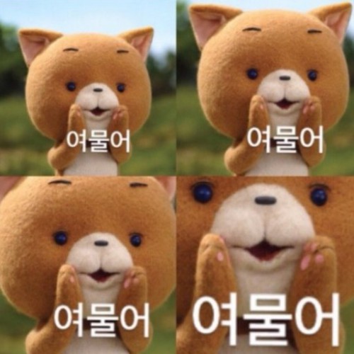 ǰ̹